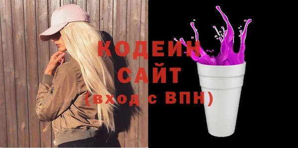 дмт Бородино