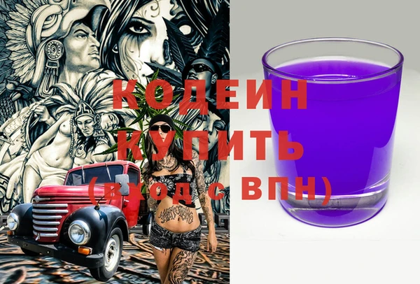 дмт Бородино